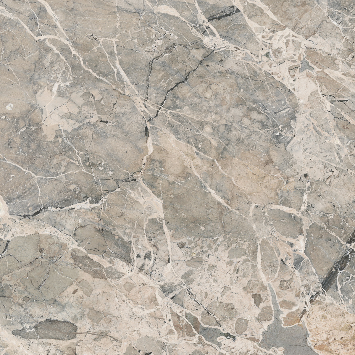 Lexicon 2 Lexicon-breccia blu