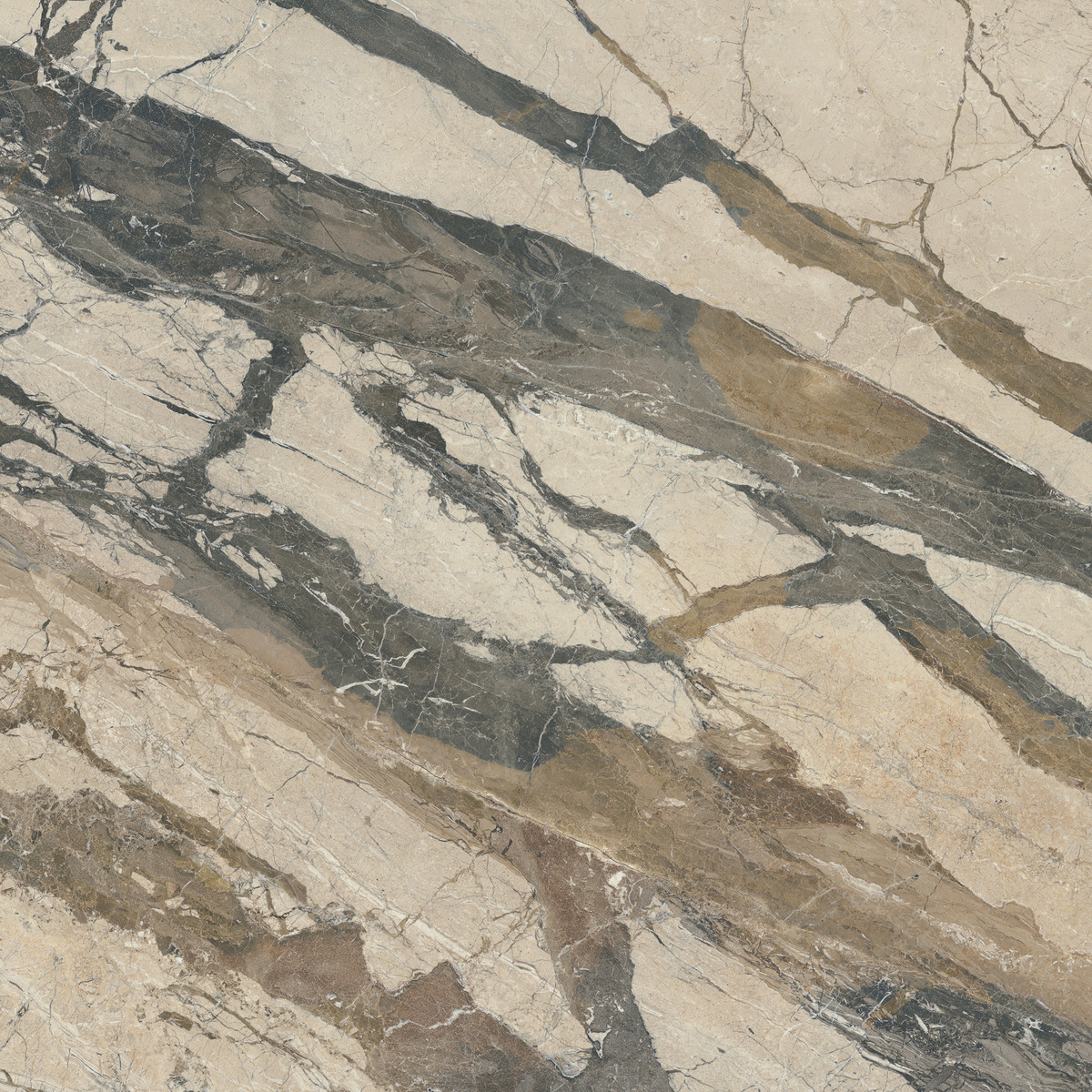 Lexicon 3 Lexicon-breccia phoenix