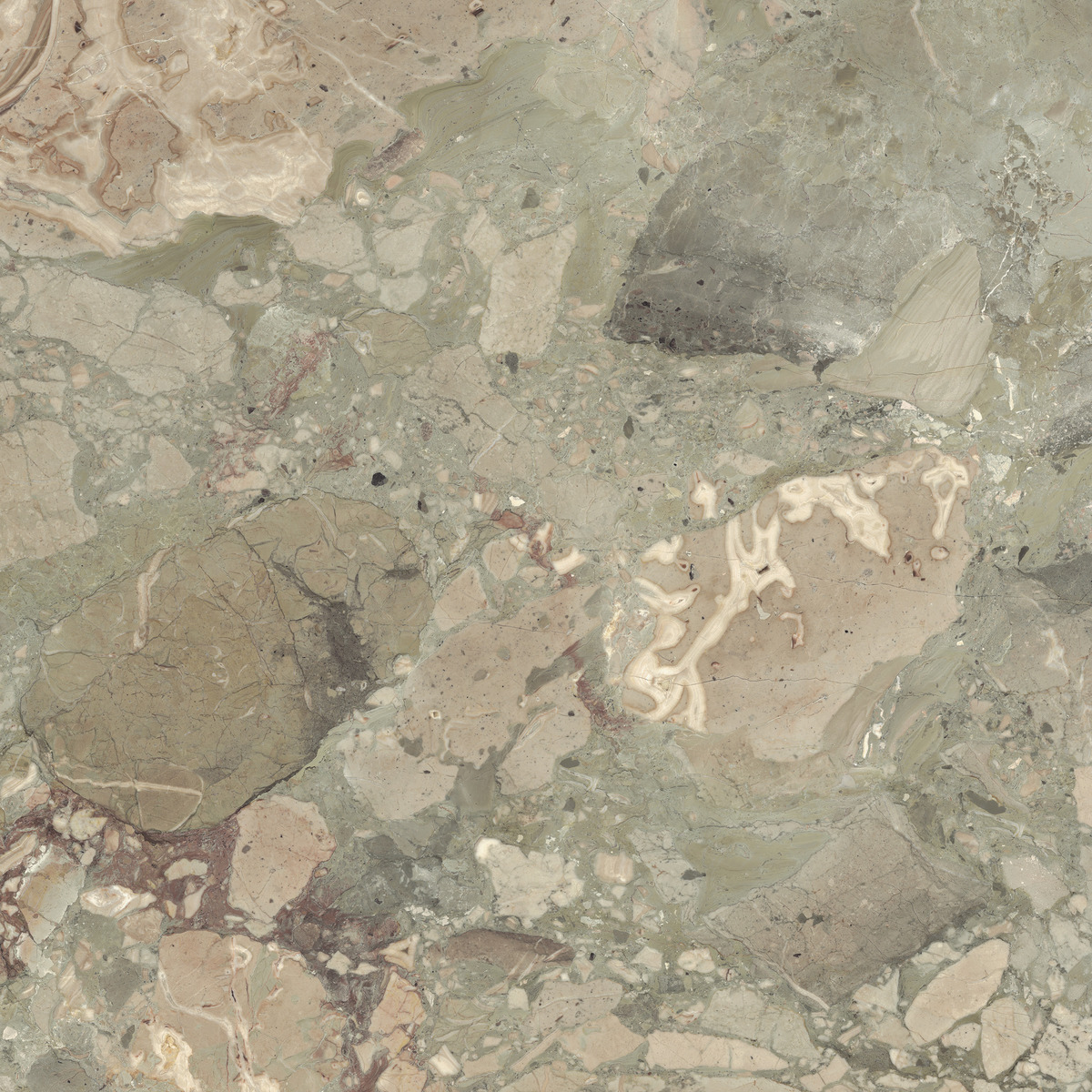 Lexicon 4 Lexicon-ceppo aragona