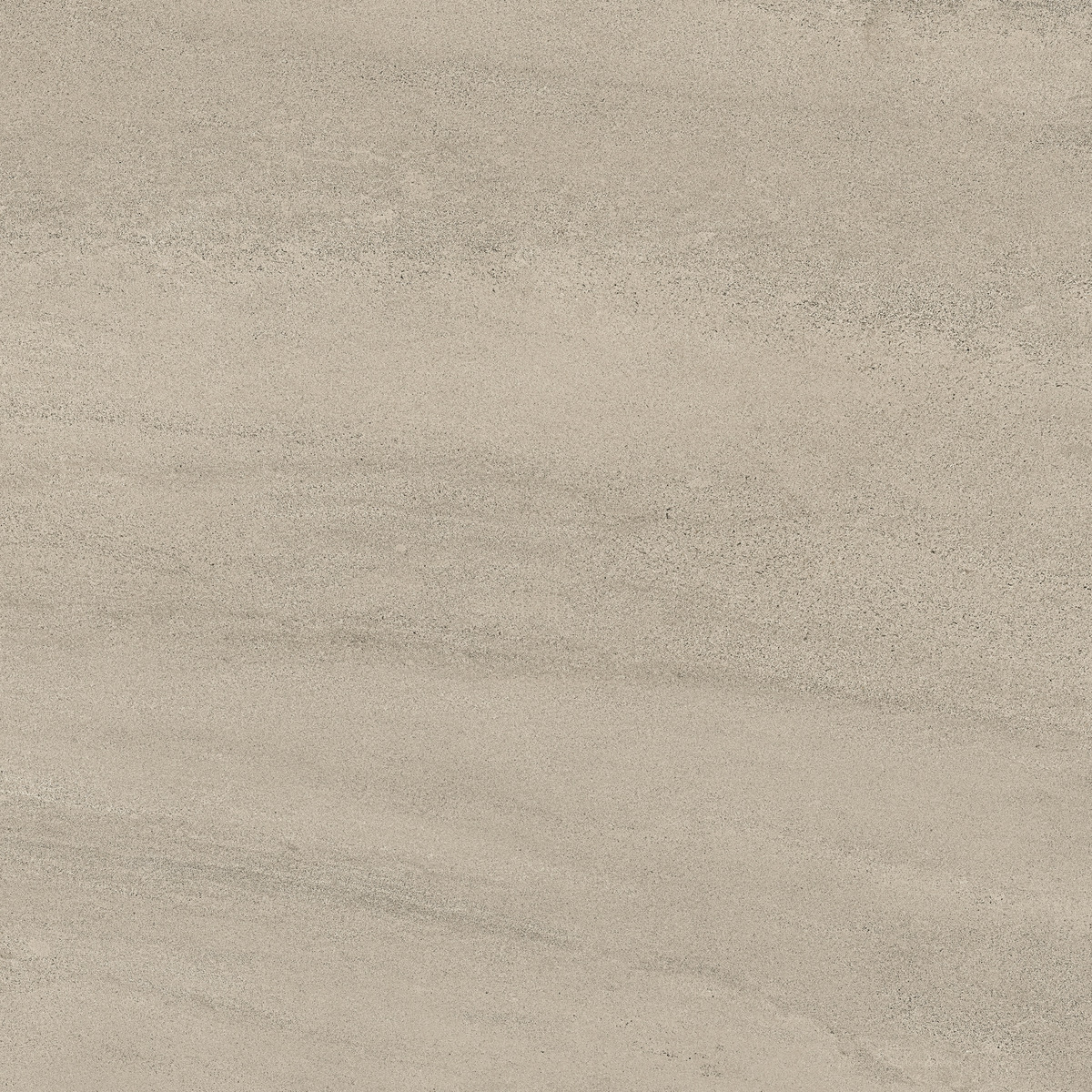 Lexicon 5 Lexicon-havana burlington