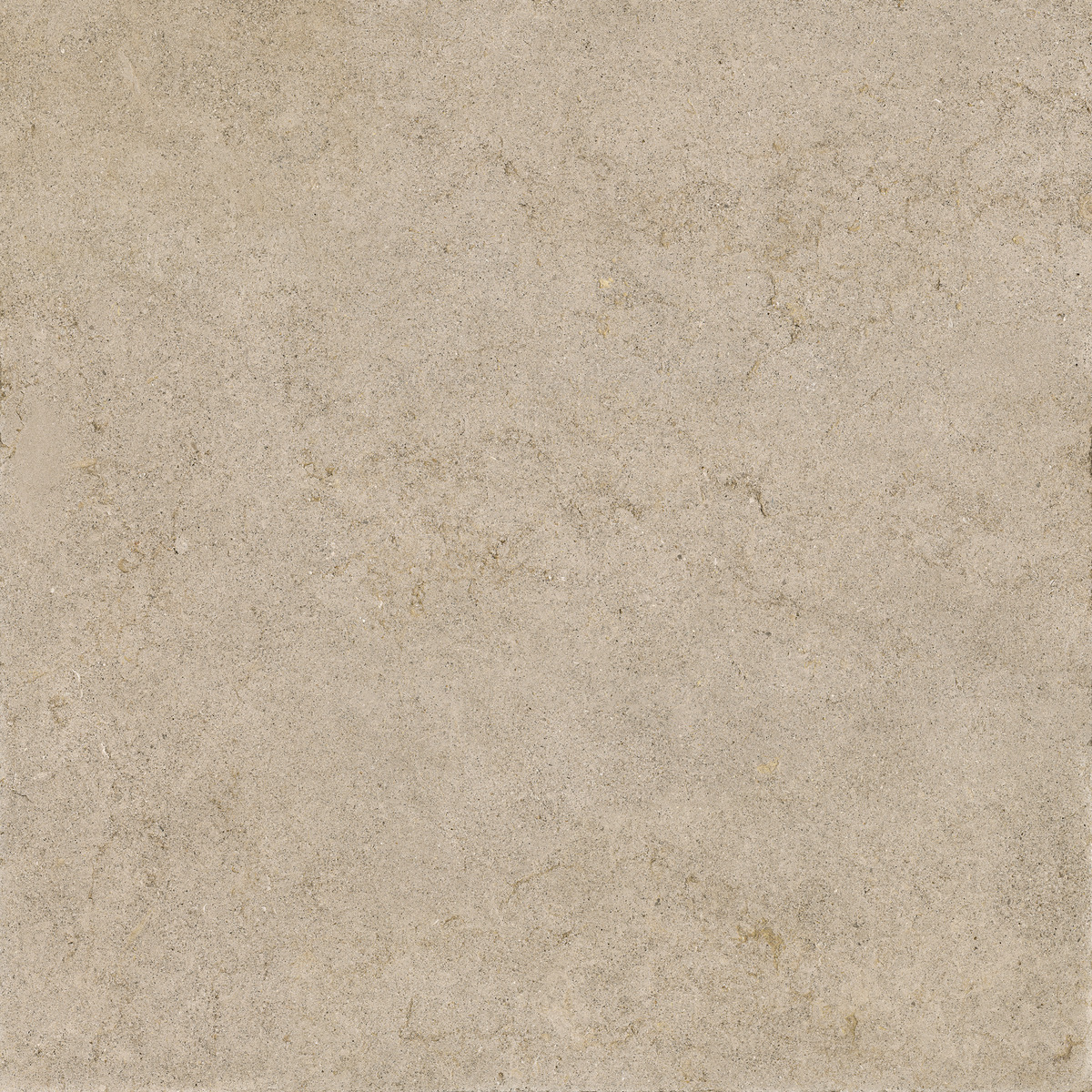 Lexicon 6 Lexicon-pietra di fez