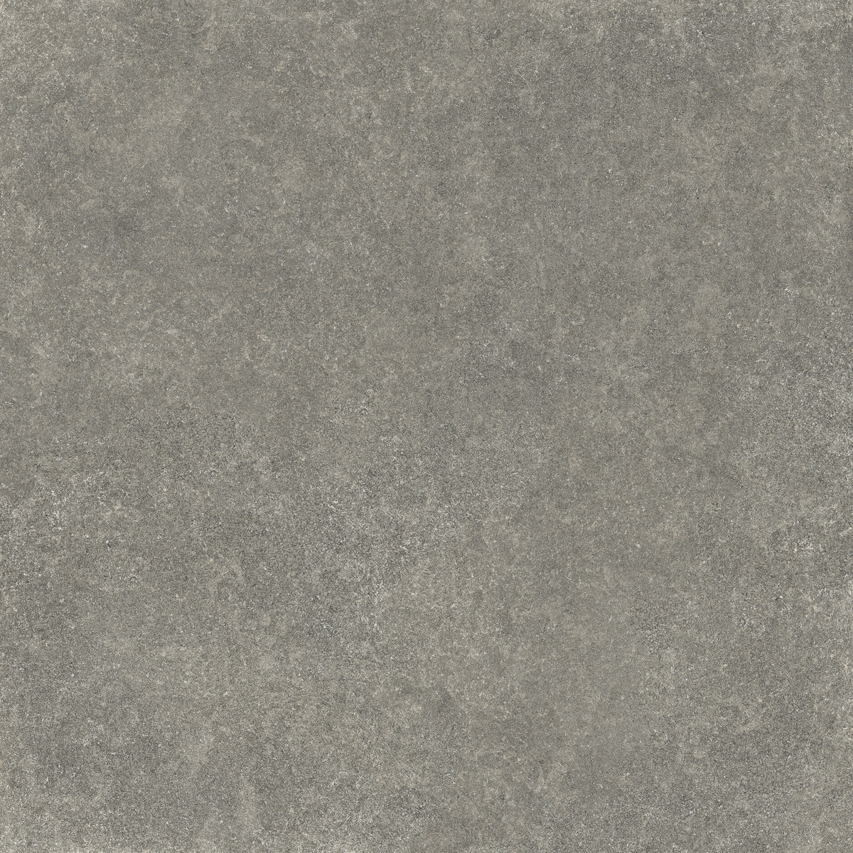 Lexicon 7 Lexicon-roche bleue