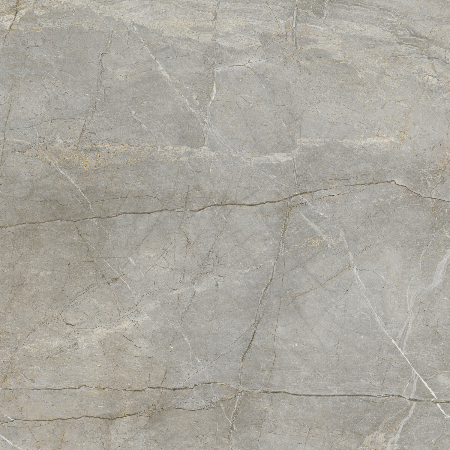 Marmi Maximum Silver Root 1 -silver root