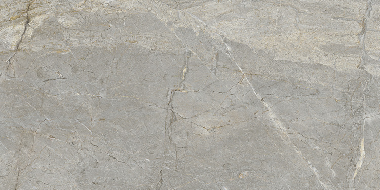 Marmi Maximum Silver Root 4 -silver root