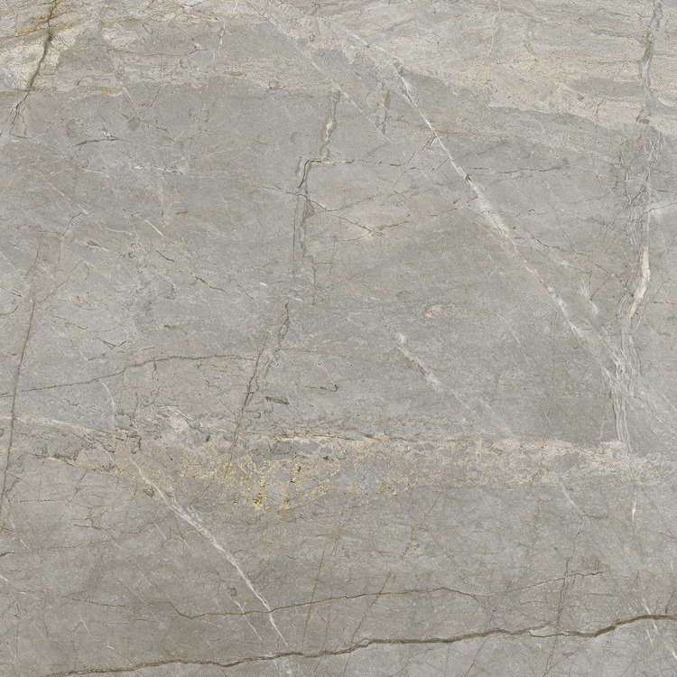 Marmi Maximum Silver Root 5 -silver root