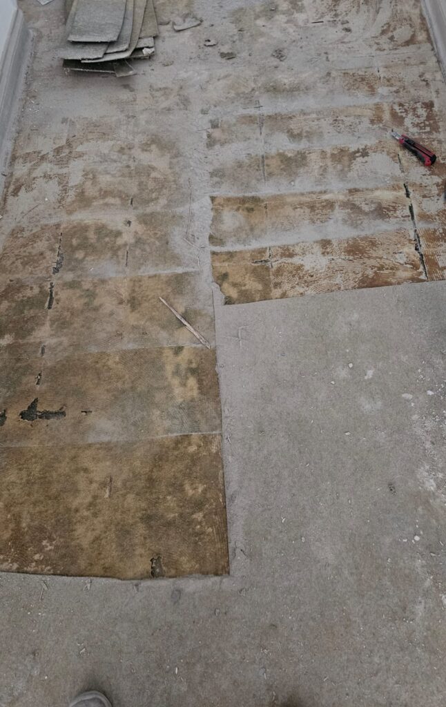 WhatsApp Image 2024 06 13 at 18.12.19