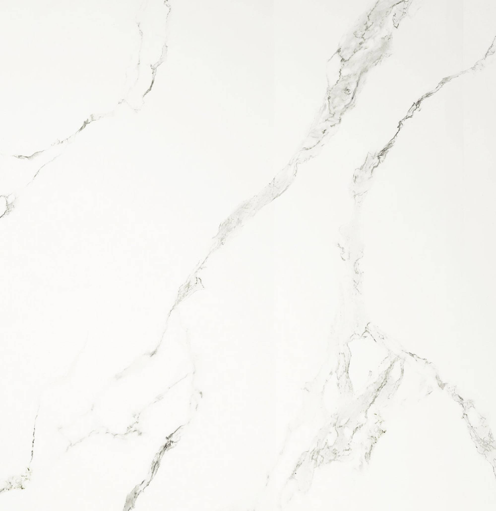 Marmi Maximum Calacatta Bellissimo – Image 2