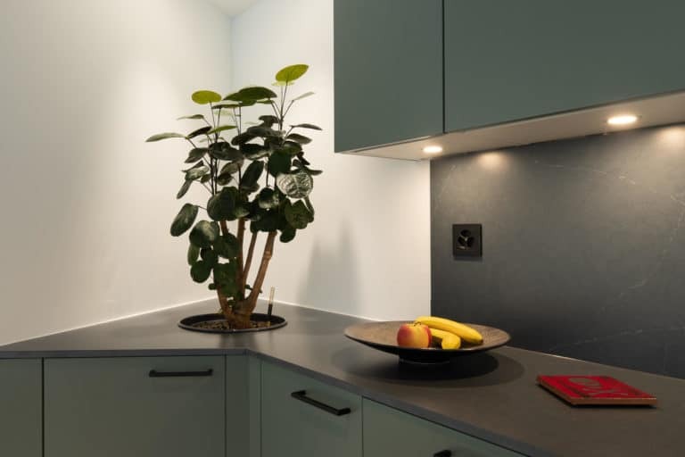 Rénovation d’une villa d’architecte à Montreux – Cuisine d'exception, Espace de vie, Piscines et terrasses et Salle de bain à Montreux, vue 4