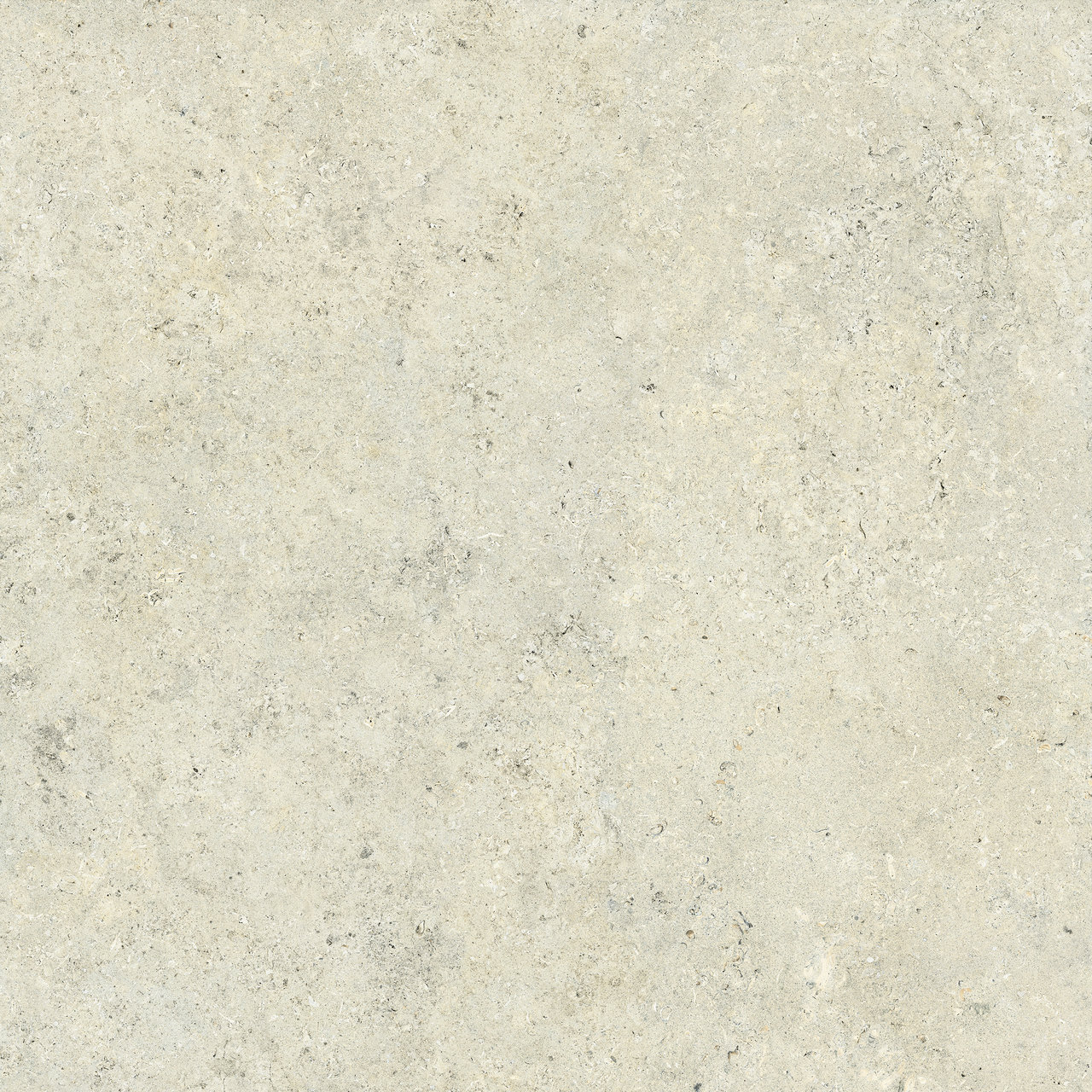 ETERNAL STONE Berica White — texture