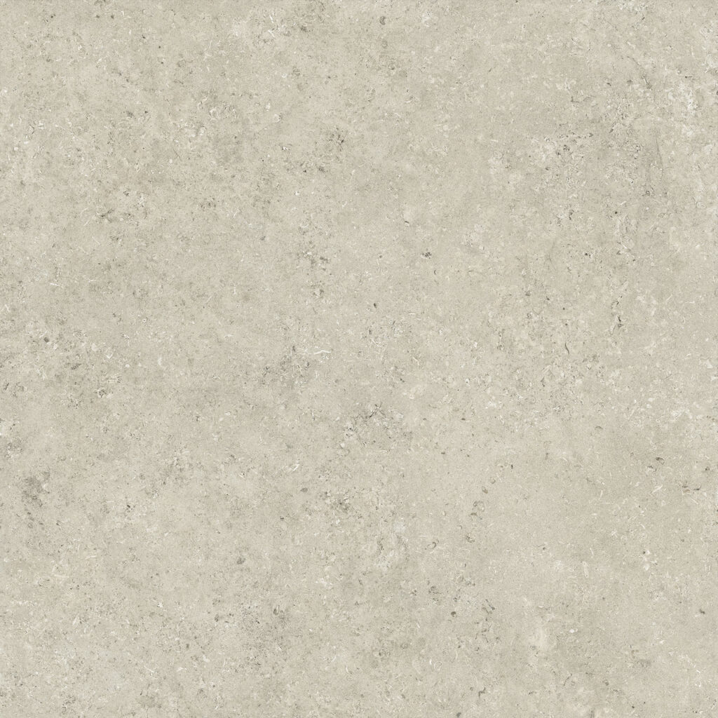 ETERNAL STONE Vicenza Grey — texture