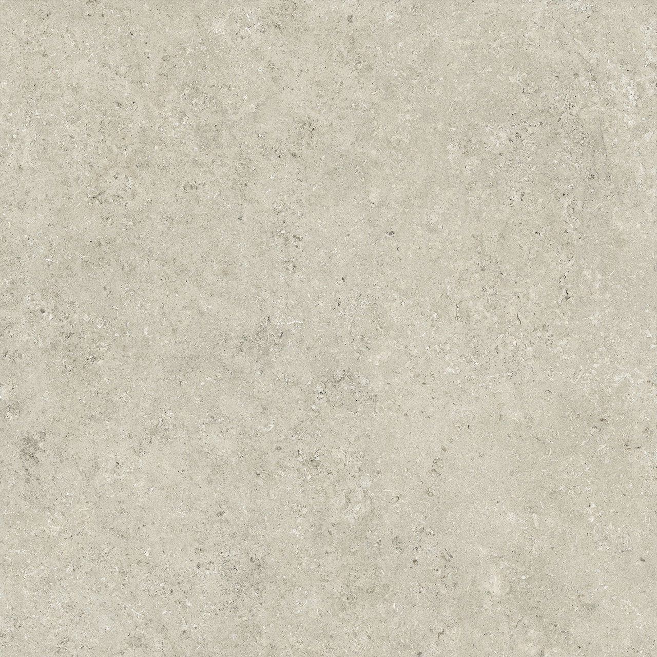 ETERNAL STONE Vicenza Grey — texture